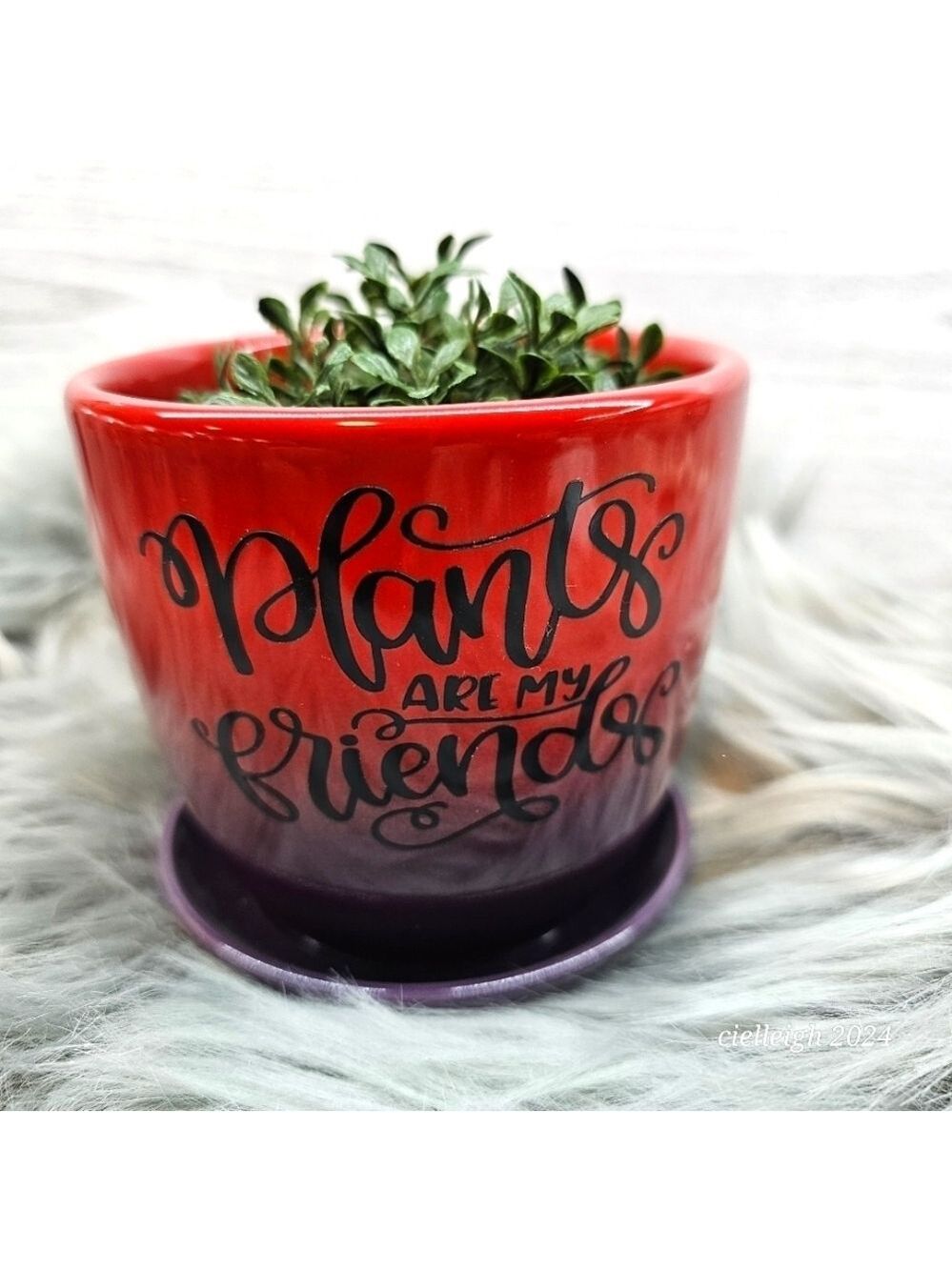 🌞2 for $20🌞Funny sayings plant pot